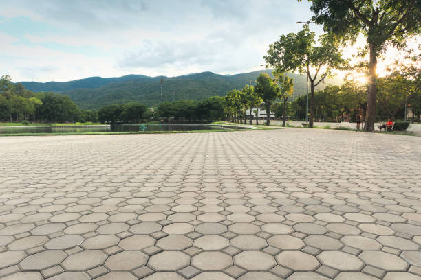Best Interlocking Driveway Pavers  in Ellenton, FL